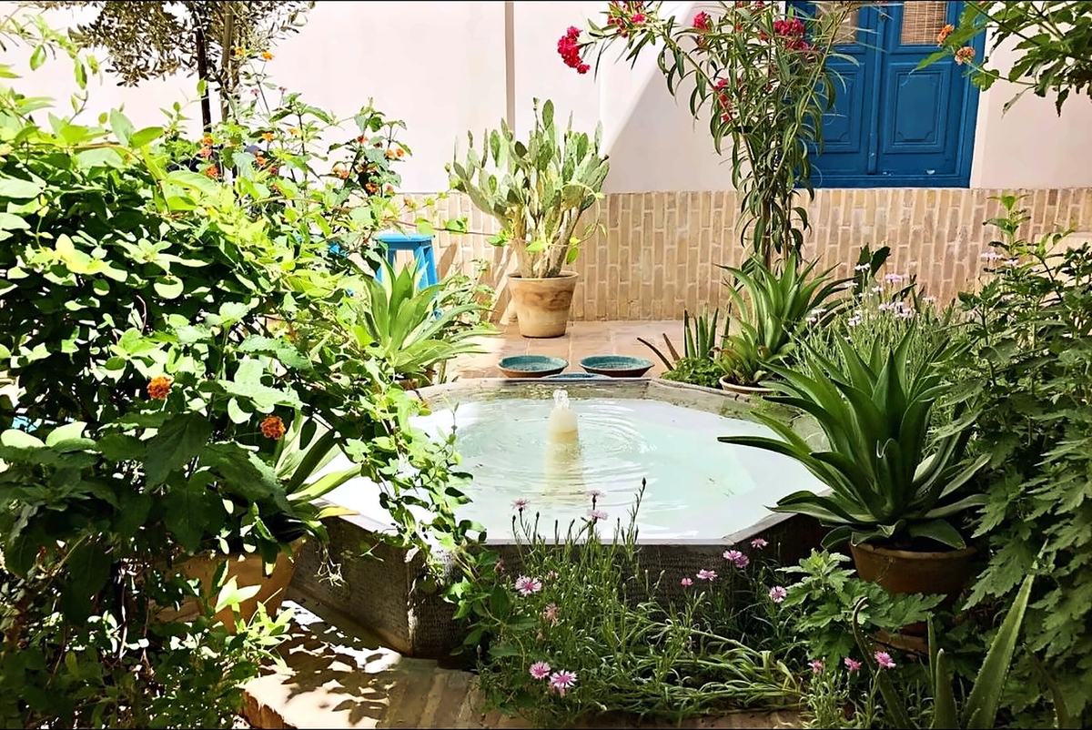 The fountain in summer, surrounded by oleander, agave and flowering plants